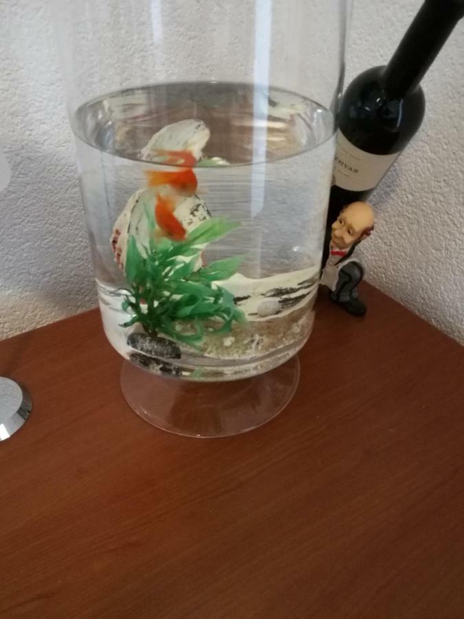 Radun Daire Split Dış mekan fotoğraf